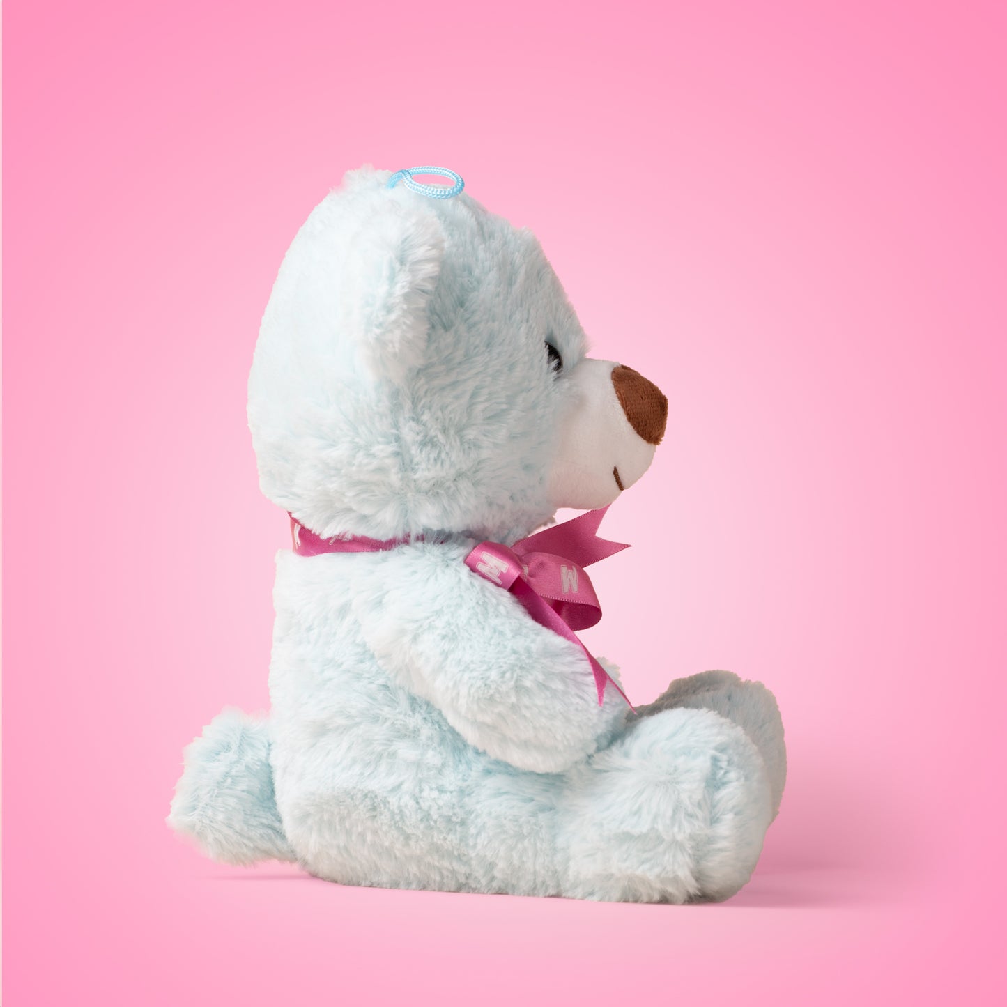 Osito de peluche